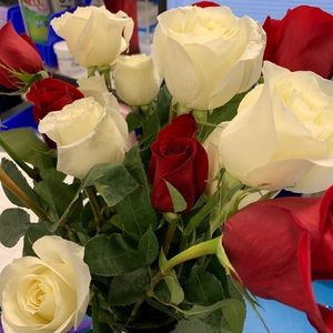 Meet your Posher, Phanny